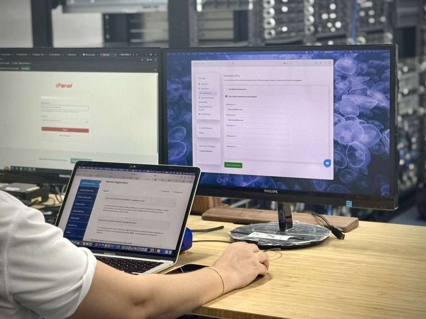 Understanding Domain Hosting vs. Web Hosting